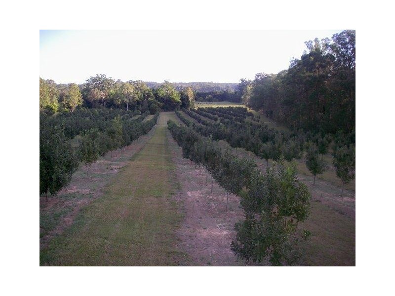 Peachester QLD 4519