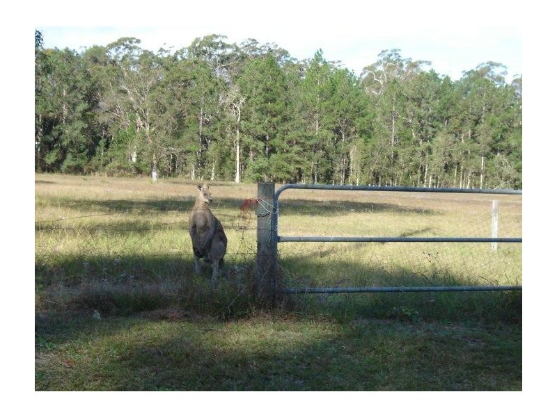 Landsborough QLD 4550
