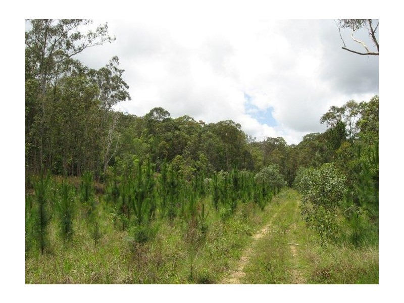 Landsborough QLD 4550