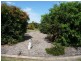 Beerwah QLD 4519