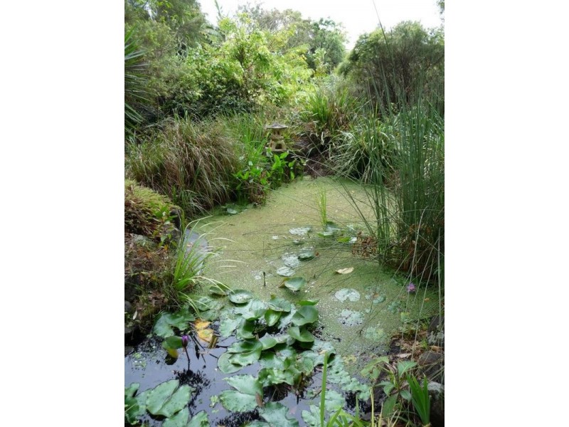 Glass House Mountains QLD 4518