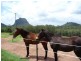 Glass House Mountains QLD 4518