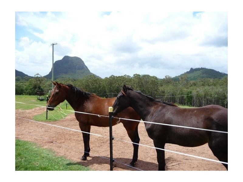Glass House Mountains QLD 4518