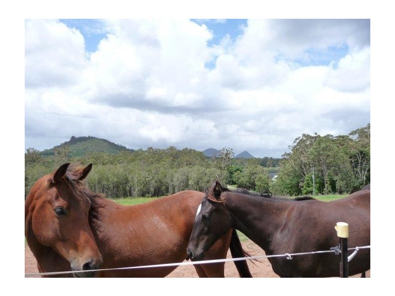 Glass House Mountains QLD 4518