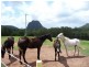 Glass House Mountains QLD 4518