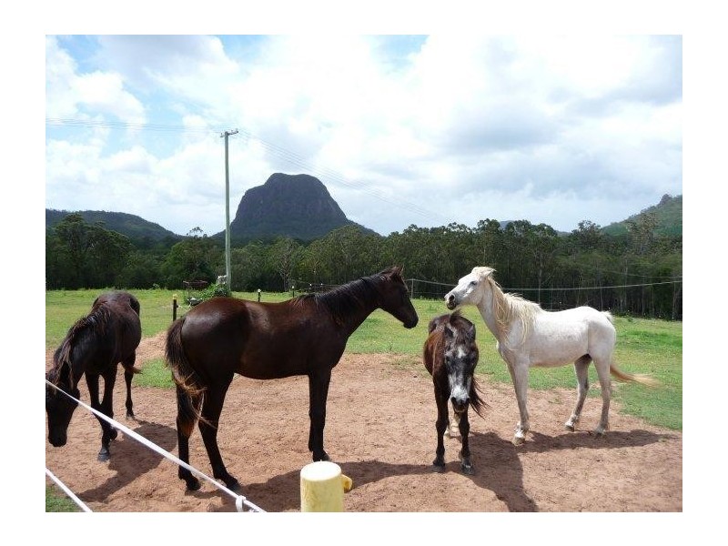 Glass House Mountains QLD 4518