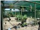 Beerwah QLD 4519
