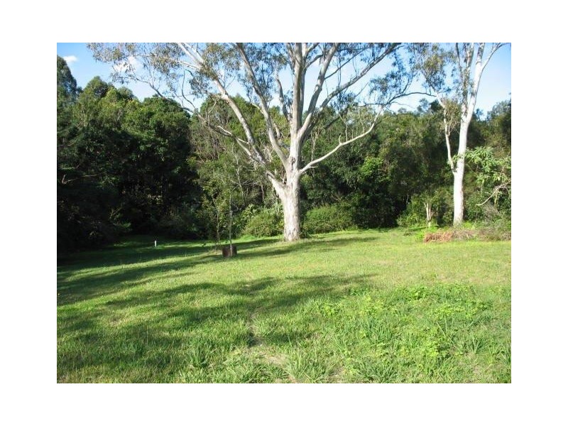 Mooloolah Valley QLD 4553