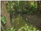 Mooloolah Valley QLD 4553