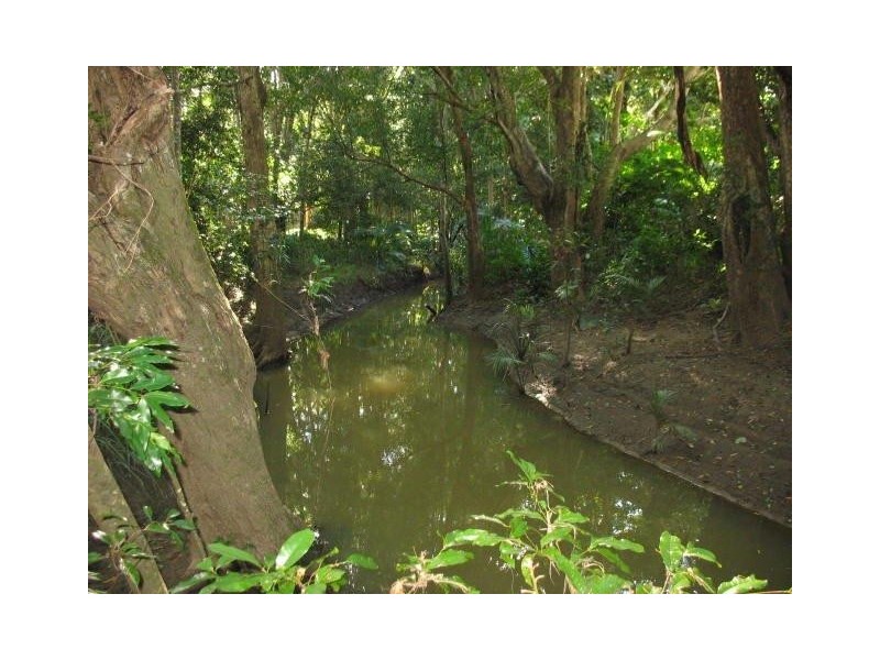 Mooloolah Valley QLD 4553