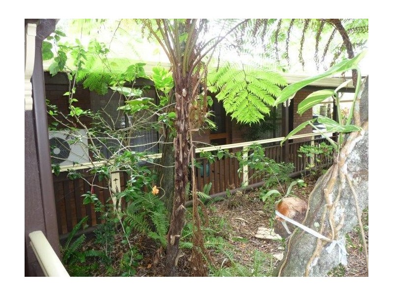 Landsborough QLD 4550