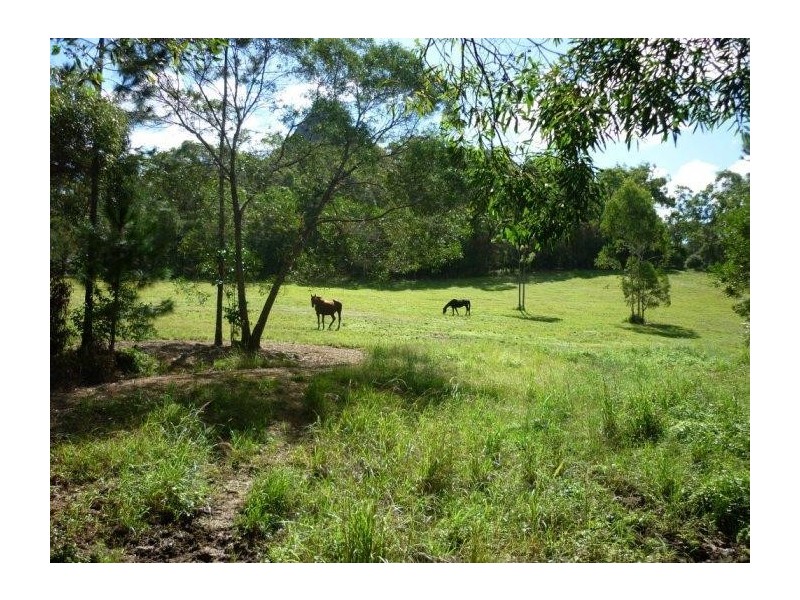 Glass House Mountains QLD 4518