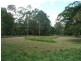 Mooloolah Valley QLD 4553