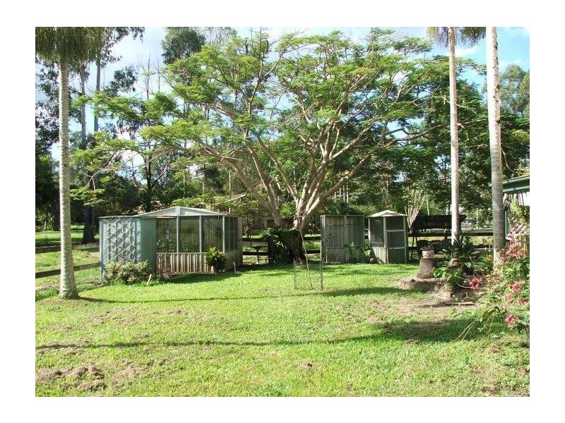 Mooloolah Valley QLD 4553
