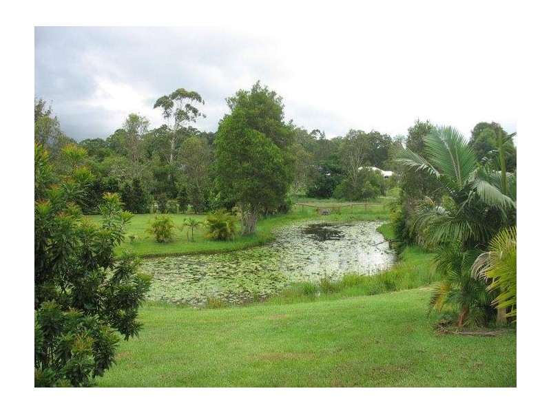 Mooloolah Valley QLD 4553