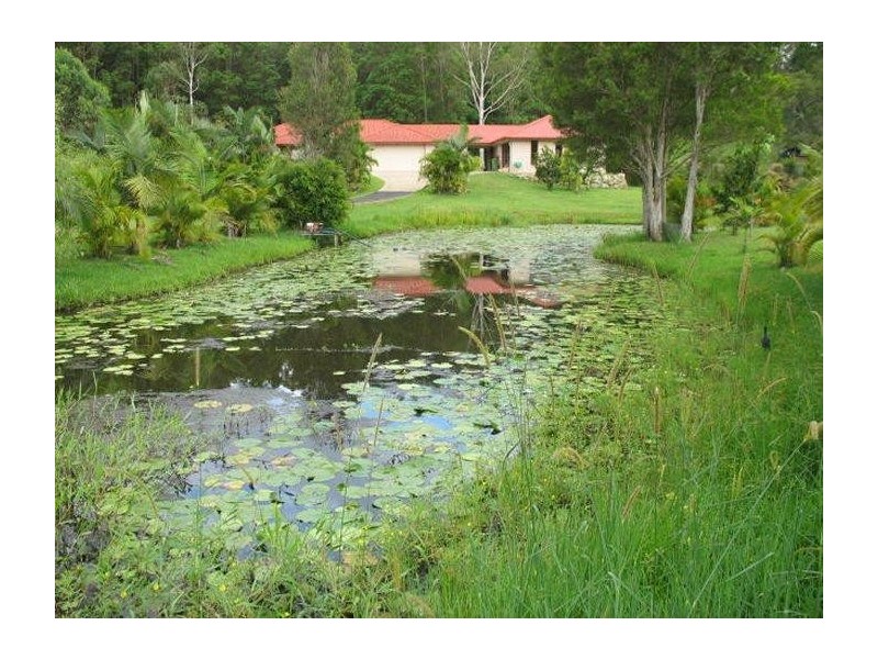 Mooloolah Valley QLD 4553