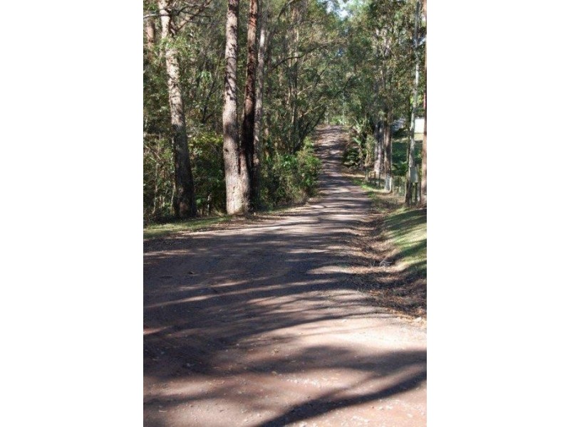 Mooloolah Valley QLD 4553