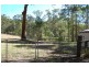 Mooloolah Valley QLD 4553