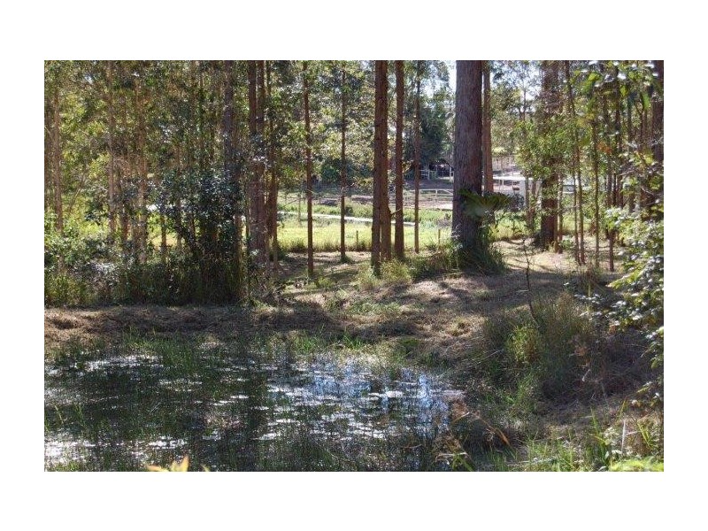 Mooloolah Valley QLD 4553