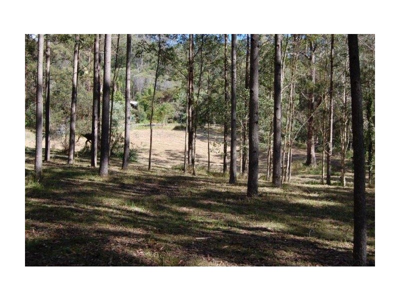 Mooloolah Valley QLD 4553