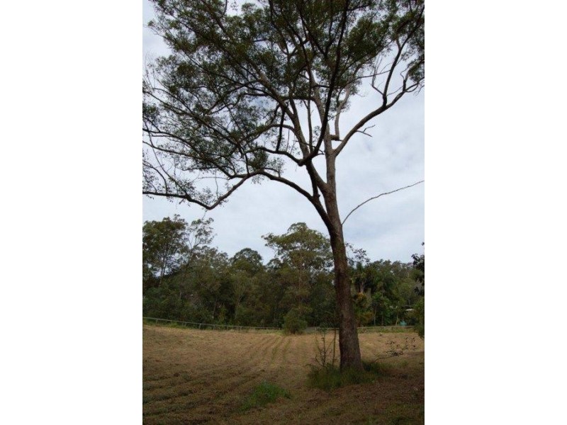 Mooloolah Valley QLD 4553