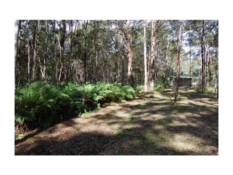 Mooloolah Valley QLD 4553