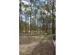 Mooloolah Valley QLD 4553