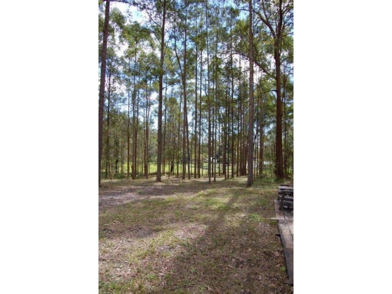 Mooloolah Valley QLD 4553