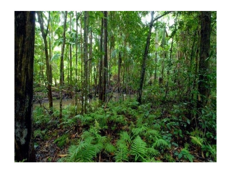 Glenview QLD 4553