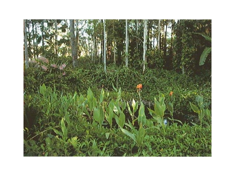 Mooloolah Valley QLD 4553