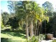 Mooloolah Valley QLD 4553