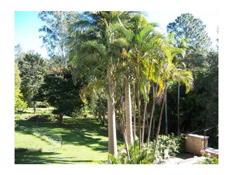 Mooloolah Valley QLD 4553