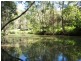 Mooloolah Valley QLD 4553
