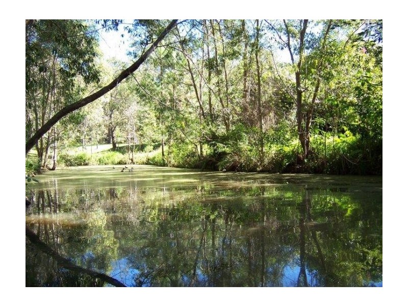 Mooloolah Valley QLD 4553