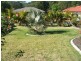 Mooloolah Valley QLD 4553