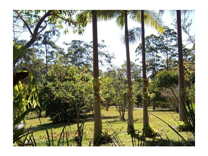 Mooloolah Valley QLD 4553