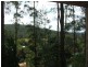 Mooloolah Valley QLD 4553