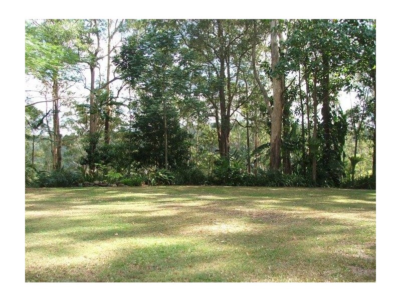 Mooloolah Valley QLD 4553