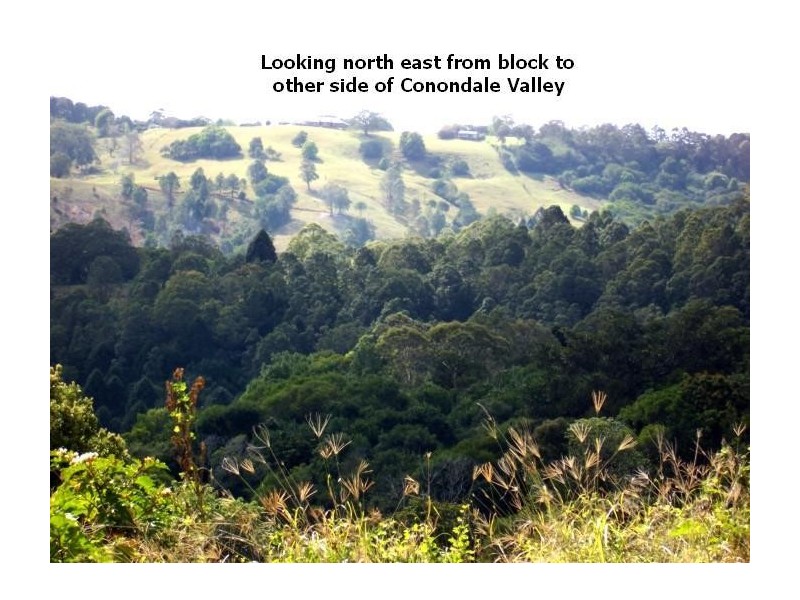 Maleny QLD 4552