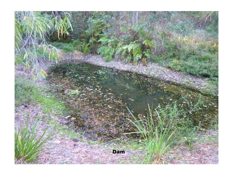 Diamond Valley QLD 4553