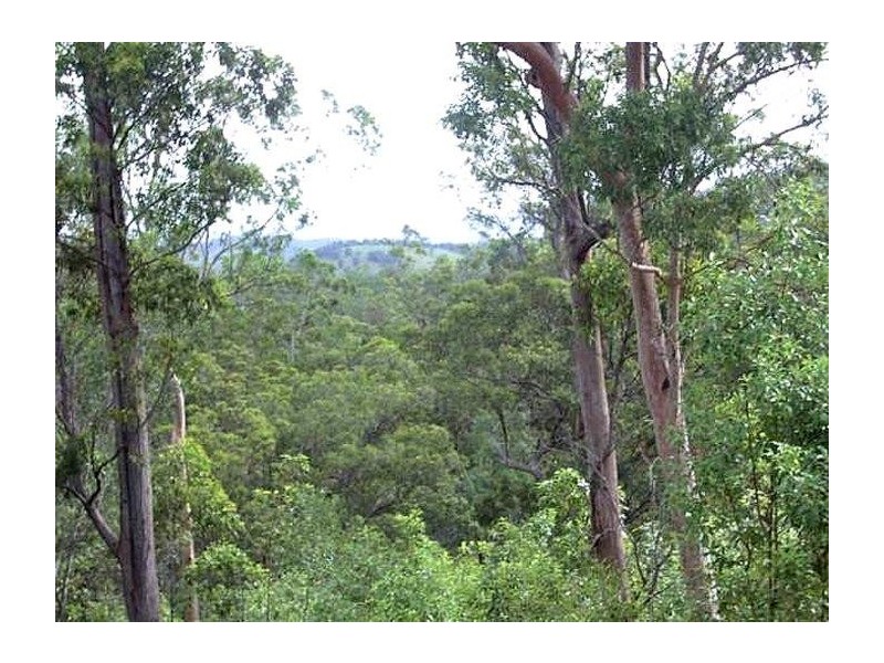 Imbil QLD 4570