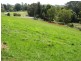 Maleny QLD 4552