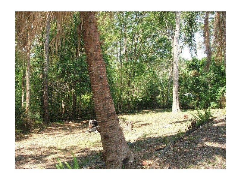 Mooloolah Valley QLD 4553