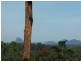Glenview QLD 4553