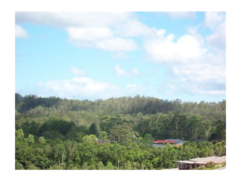 Mooloolah Valley QLD 4553