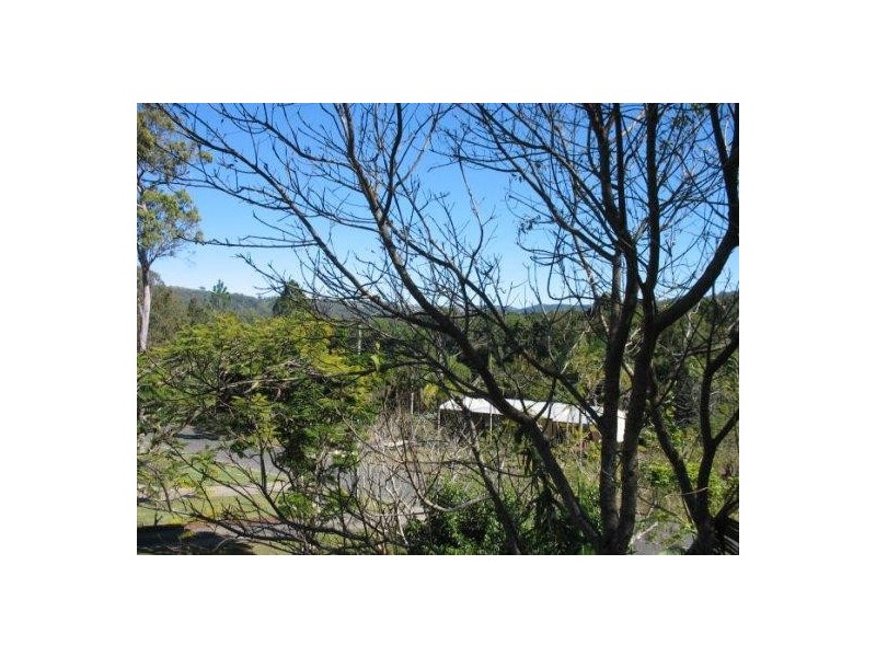 Mooloolah Valley QLD 4553