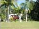 Mooloolah Valley QLD 4553