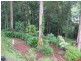Mooloolah Valley QLD 4553