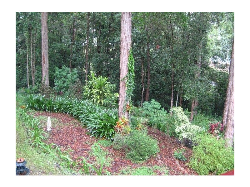 Mooloolah Valley QLD 4553