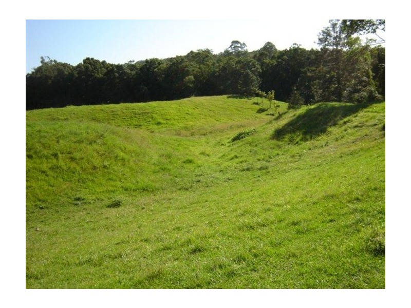 Mooloolah Valley QLD 4553